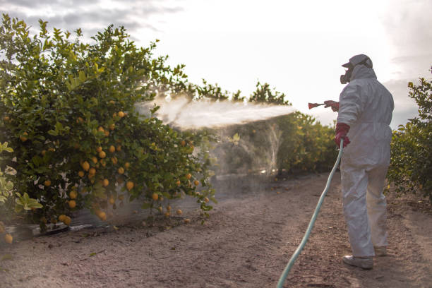 Best Best Pest Control Companies  in Manasota Key, FL
